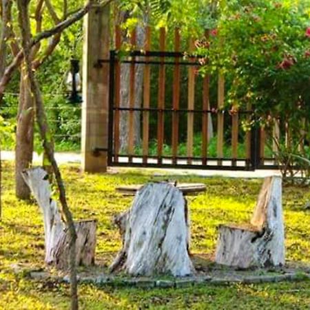 Lavish Eco Jungle Hotel Tissamaharama Exterior photo