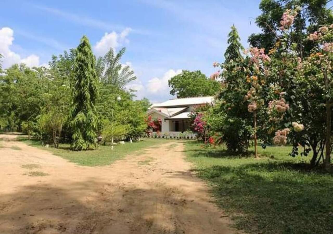Lavish Eco Jungle Hotel Tissamaharama Exterior photo