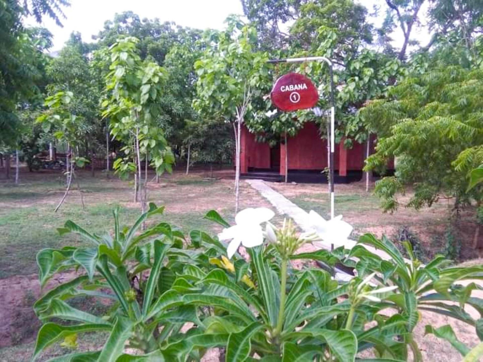 Lavish Eco Jungle Hotel Tissamaharama Exterior photo