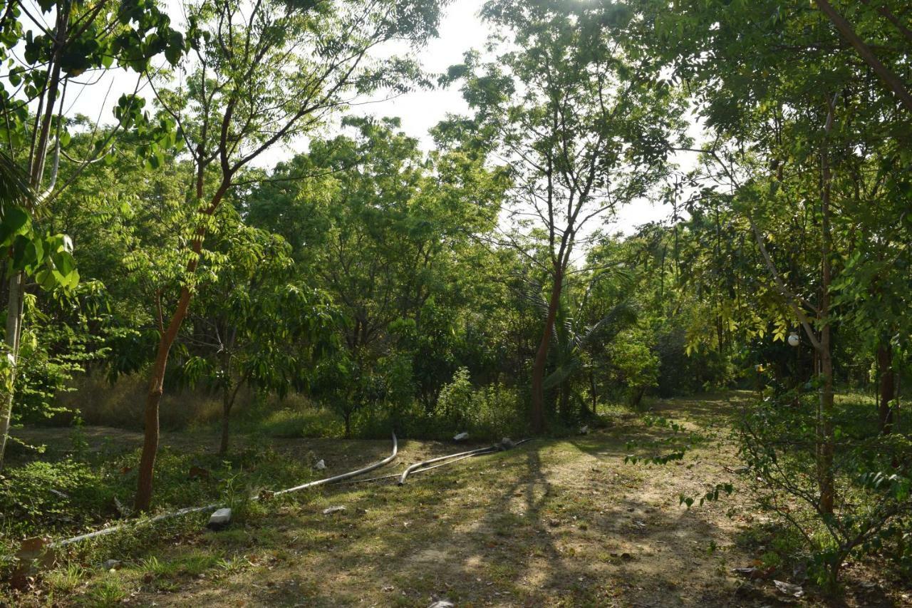 Lavish Eco Jungle Hotel Tissamaharama Exterior photo